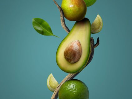 Avocado tree